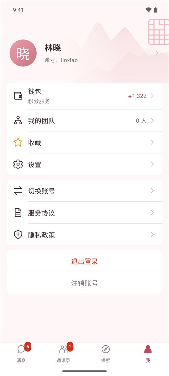 「我」页面：钱包积分、我的团队、设置